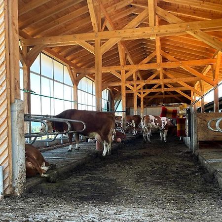 Landgasthof Blasini - Pfahlhof Zandt Buitenkant foto