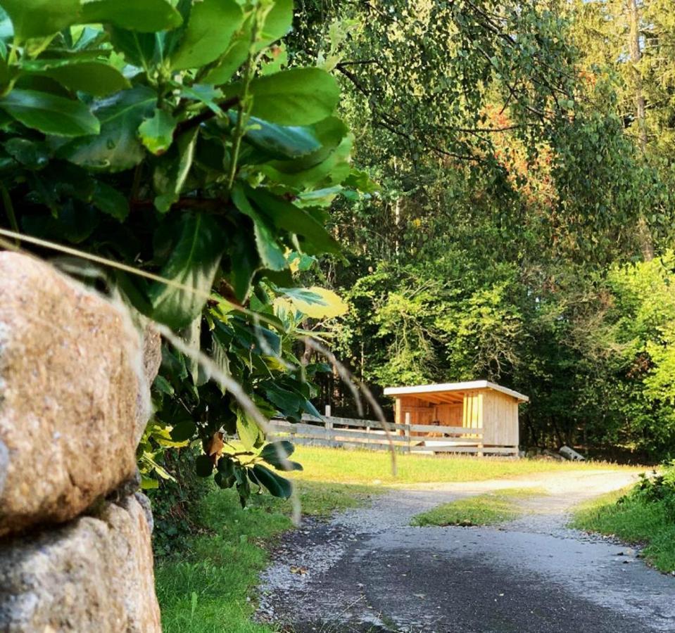 Landgasthof Blasini - Pfahlhof Zandt Buitenkant foto