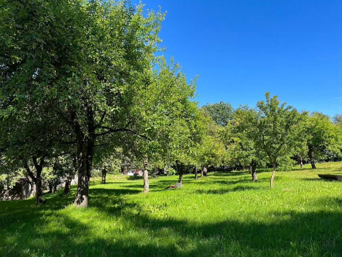 Landgasthof Blasini - Pfahlhof Zandt Buitenkant foto